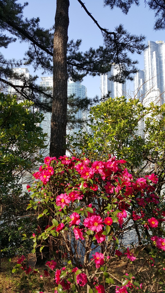 해운대 아이파크 II | 인스티즈