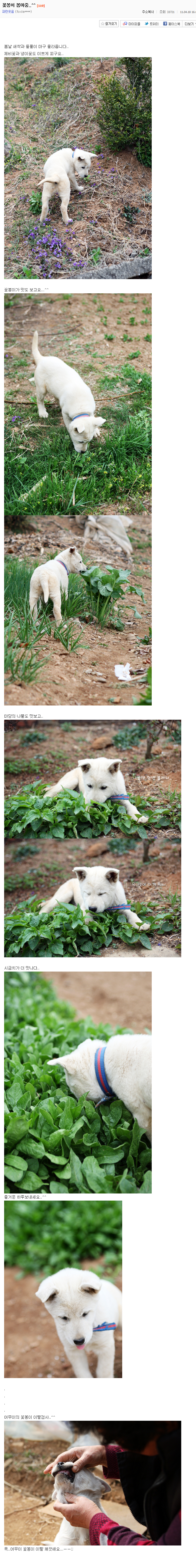 사랑스러운 시골강아지 꽃봉이의 하루.jpg | 인스티즈