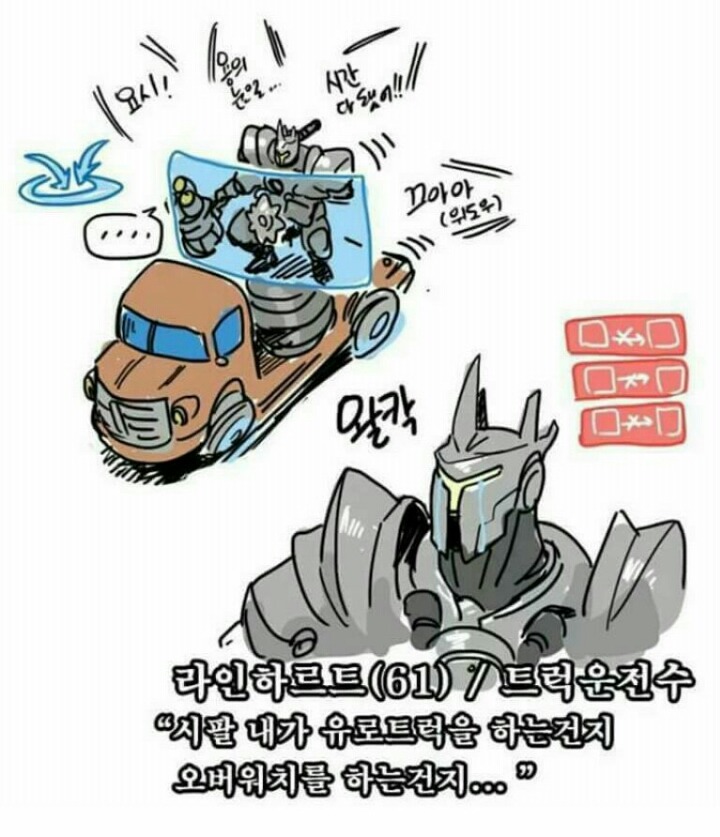 라인하르트를 반강제적으로 할때마다 드는 생각 (오버워치) | 인스티즈