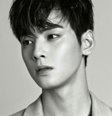 [데이터주의] 차은우 미모 수준 | 인스티즈