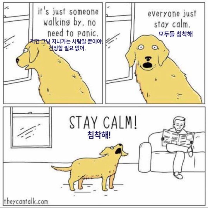 개키우는 사람 공감 | 인스티즈
