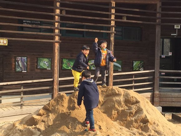 책크인 이미지