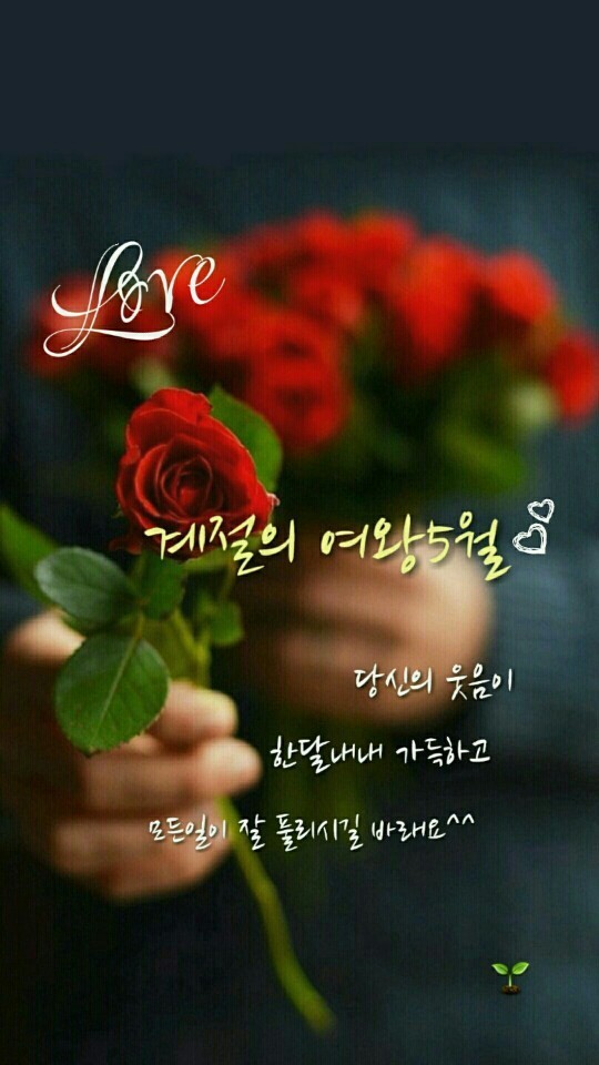 토리토리 이미지