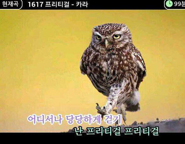 아무생각없이 들어왔는데 뻘하게 터지는 짤들 | 인스티즈