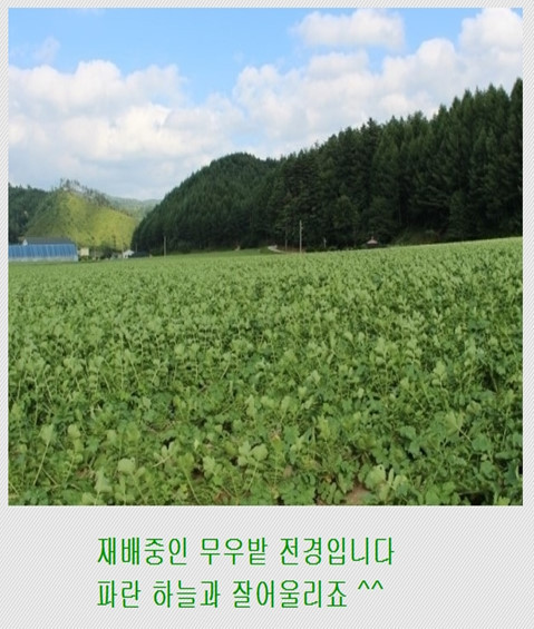 가온농산 이미지