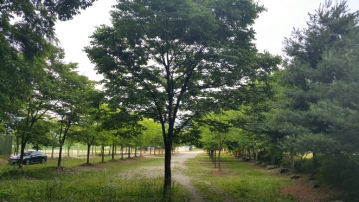 숲속의궁전 이미지