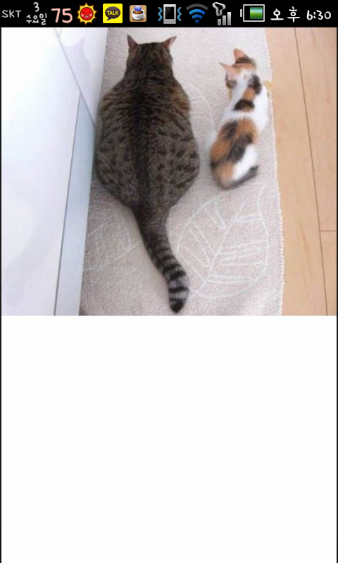 돼지야 이미지