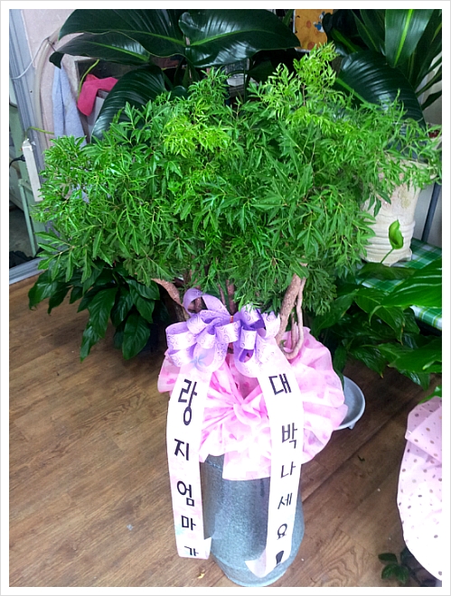 O2미용실 이미지