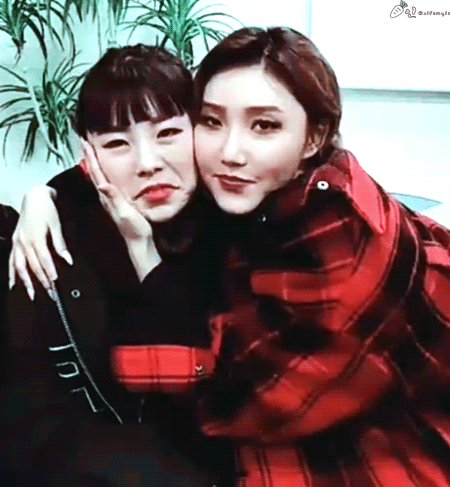 마마무 95년생 막내들 | 인스티즈