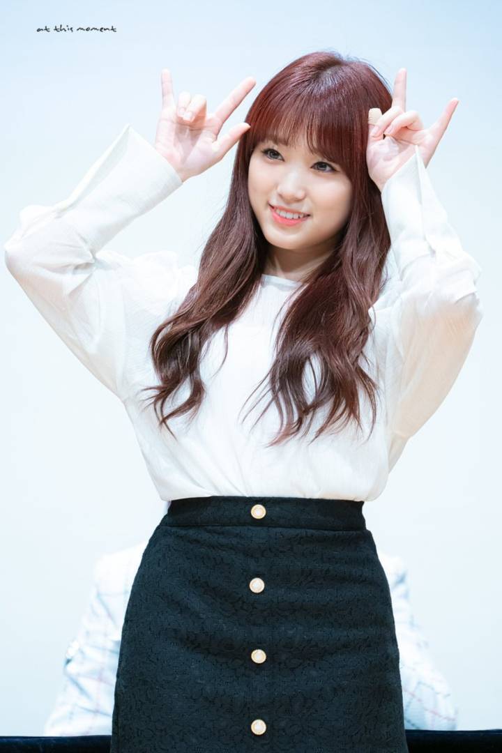나코 이미지