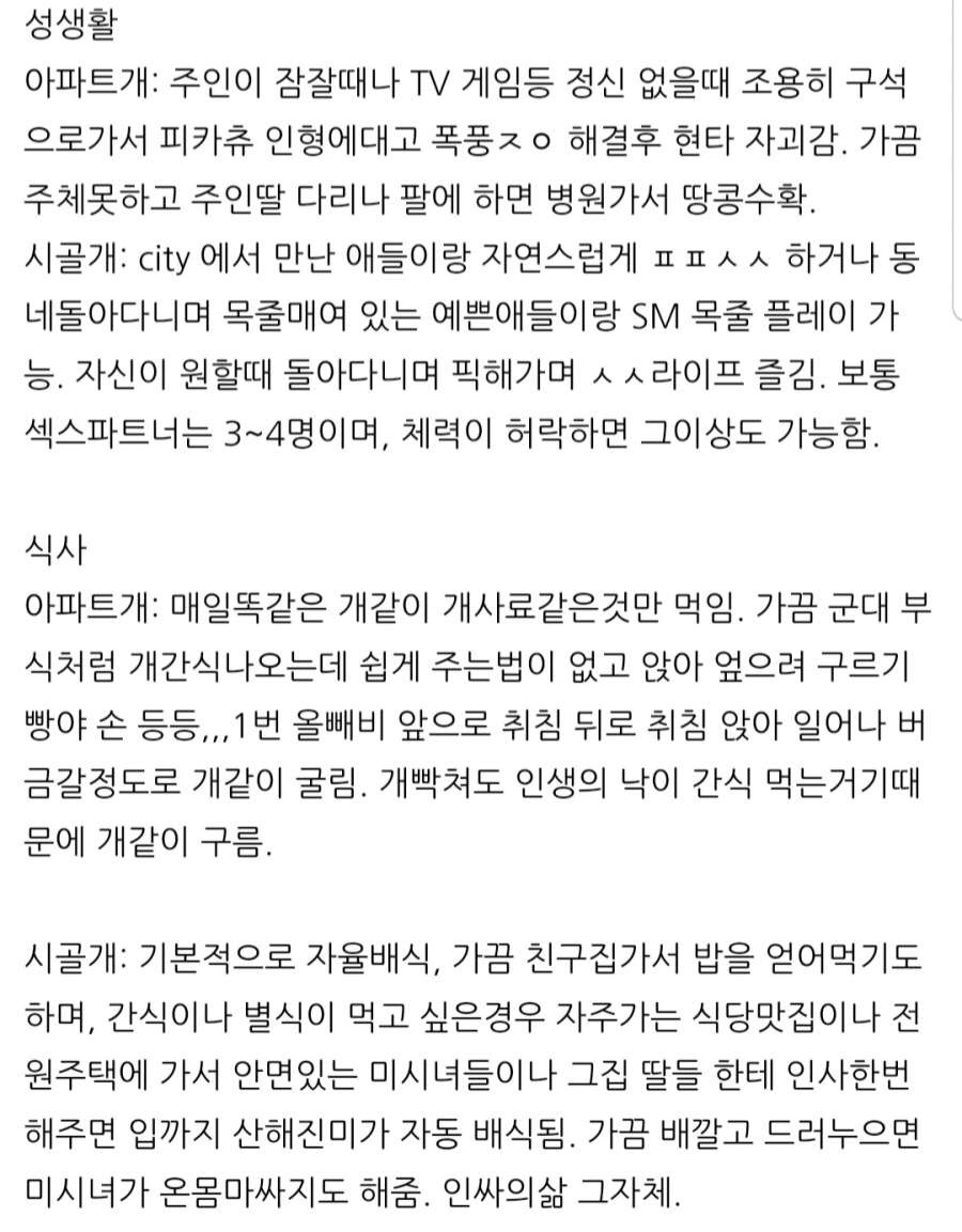 아파트개와 시골개의 라이프스타일 차이 | 인스티즈