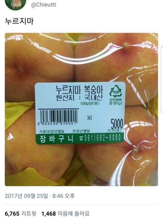 이거 보고 한번이라도 안웃으면 지구를 떠남.gif(데이터주의) | 인스티즈