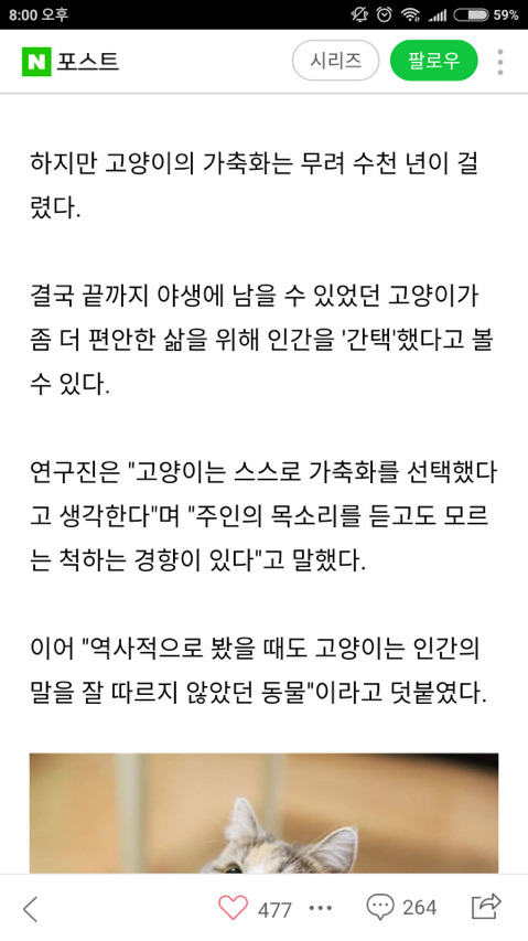 고양이가 주인말을 무시하는 이유.jpg | 인스티즈