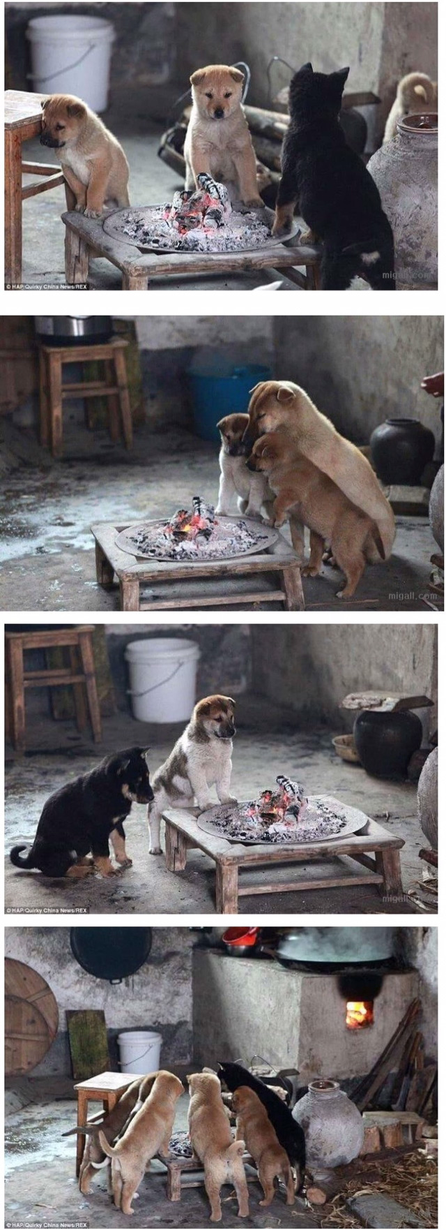 겨울철 어느 시골의 부뚜막.jpg | 인스티즈