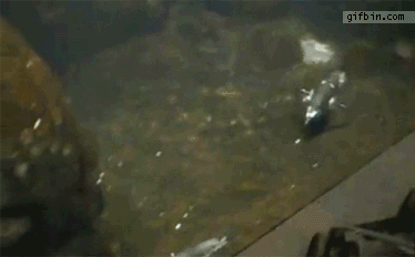 내가 가다가 뽜라락하고 방귀를 뀌니까 친구가.gif | 인스티즈