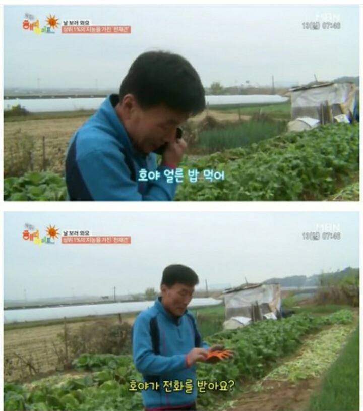 호야농장 이미지