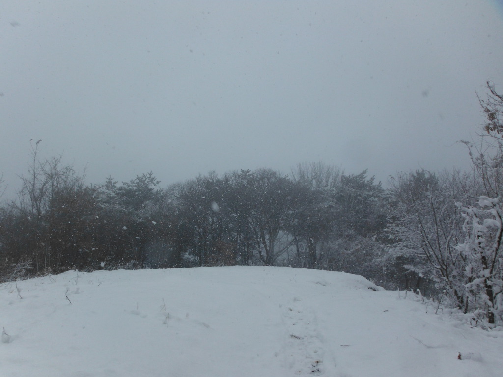 어등산호남대 이미지