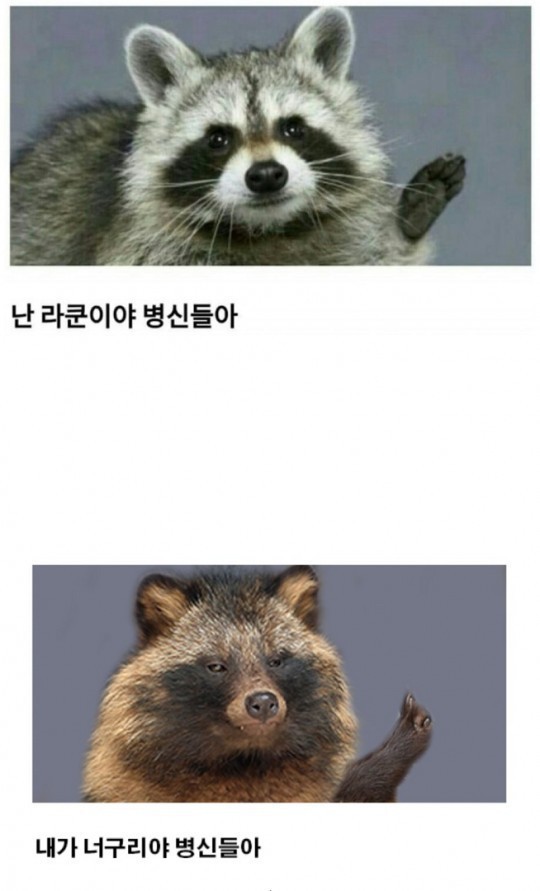 난 너굴맨이 아니야 ㅂㅅ들아 | 인스티즈
