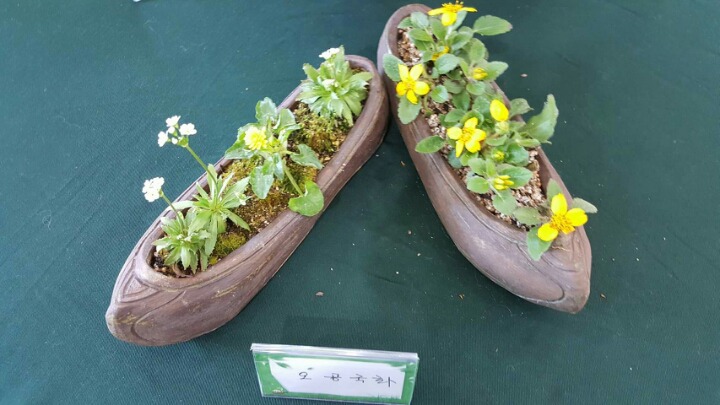 실타래 이미지