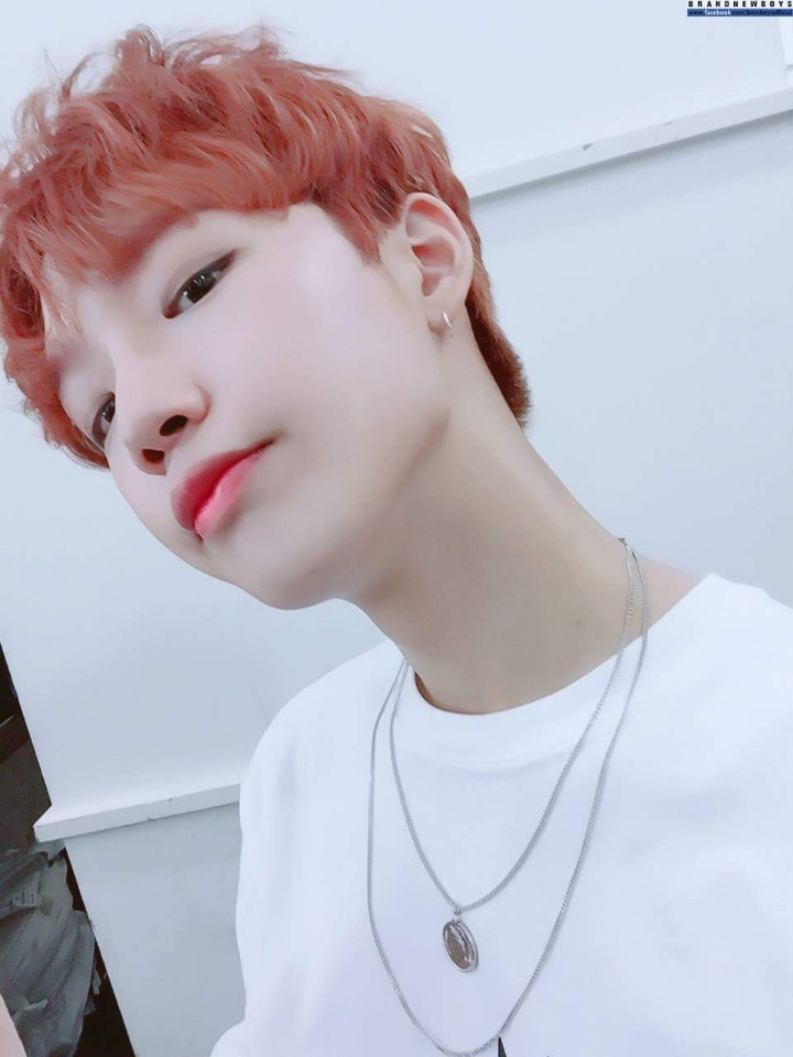 브래뉴 이미지