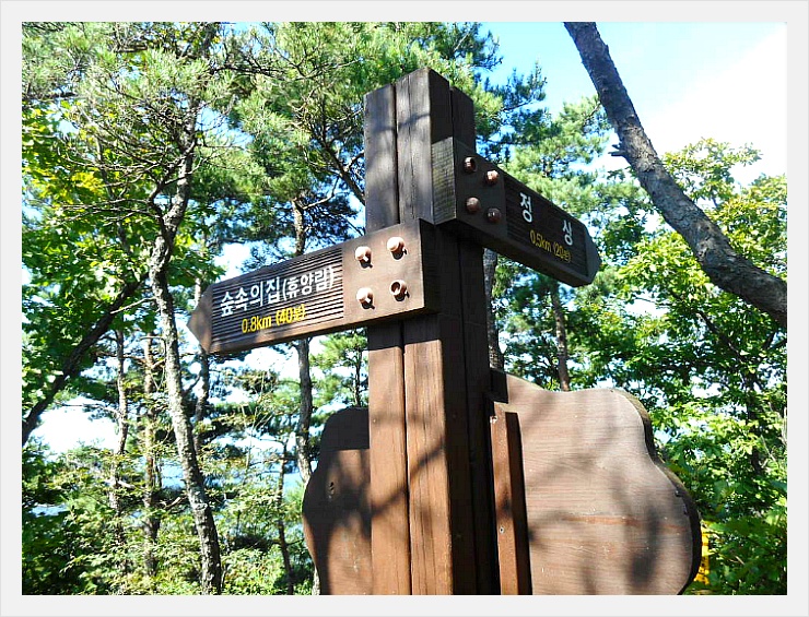 속리산말티재자연휴양림 이미지