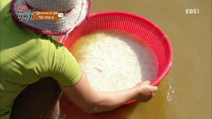 동남아가서 길거리 음식 함부로 먹으면 안되는 이유 | 인스티즈