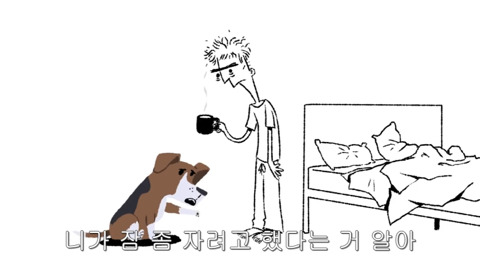 [동물] 만약 개들이 사과할 수 있다면? | 인스티즈