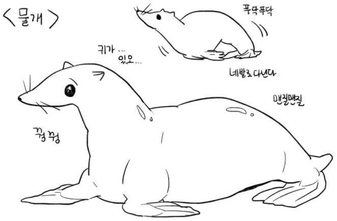 물개와 물범의 차이점.gif | 인스티즈