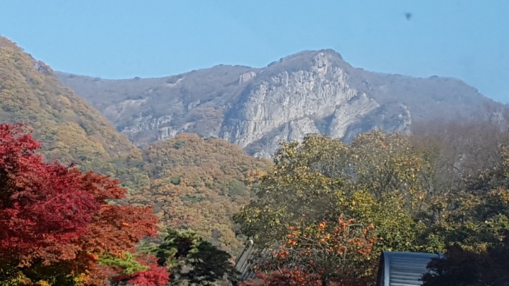 백양사 이미지