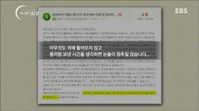 처음 반려동물 만났을때 너무 좋고 예뻐서 전혀 생각하지 못하는 것.jpg | 인스티즈