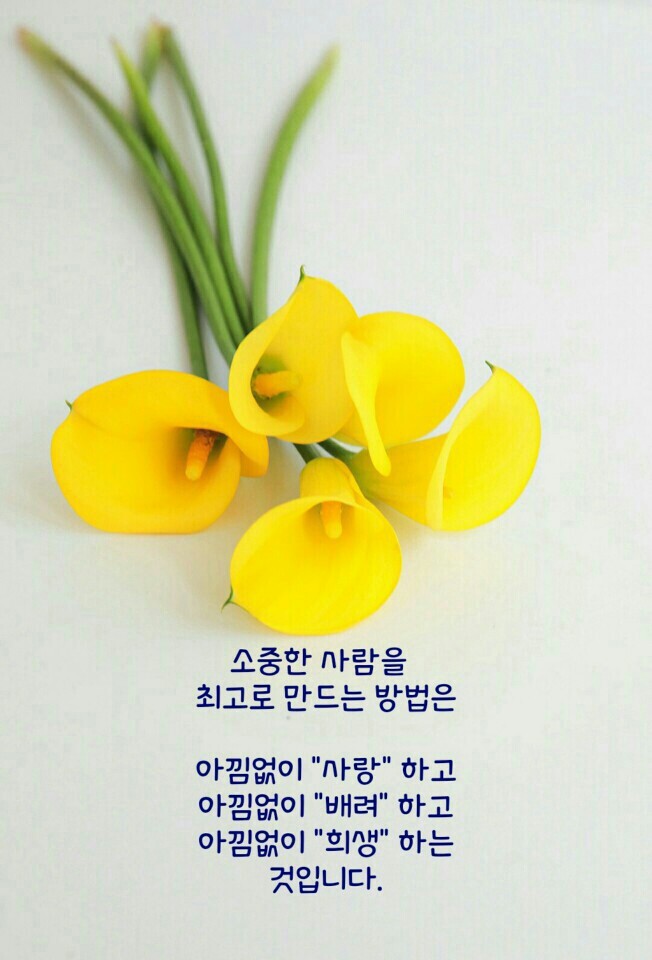 이슬이 생각날때 이미지