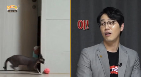 고양이가 아니라 인형을 키우는듯한 집 .jpg | 인스티즈