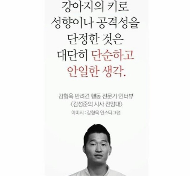 얘들아 개파라치 시행/공격성과 무관한 입마개 착용 의무화에 반대하는 가장 효과적인 방법!!! | 인스티즈