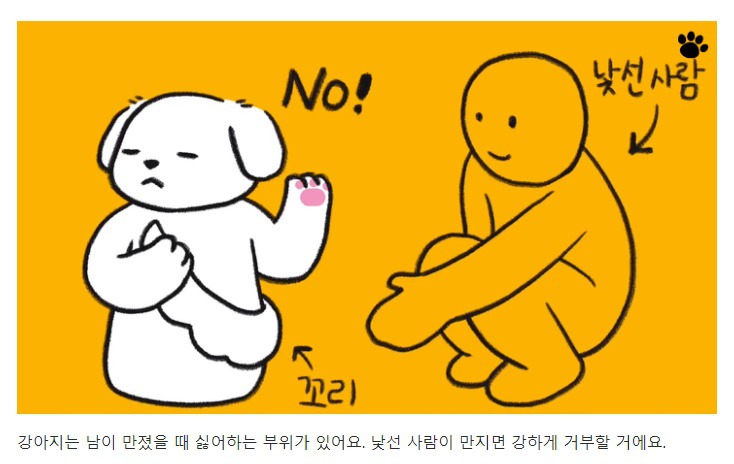 처음 만난 강아지와 인사하는 방법 | 인스티즈