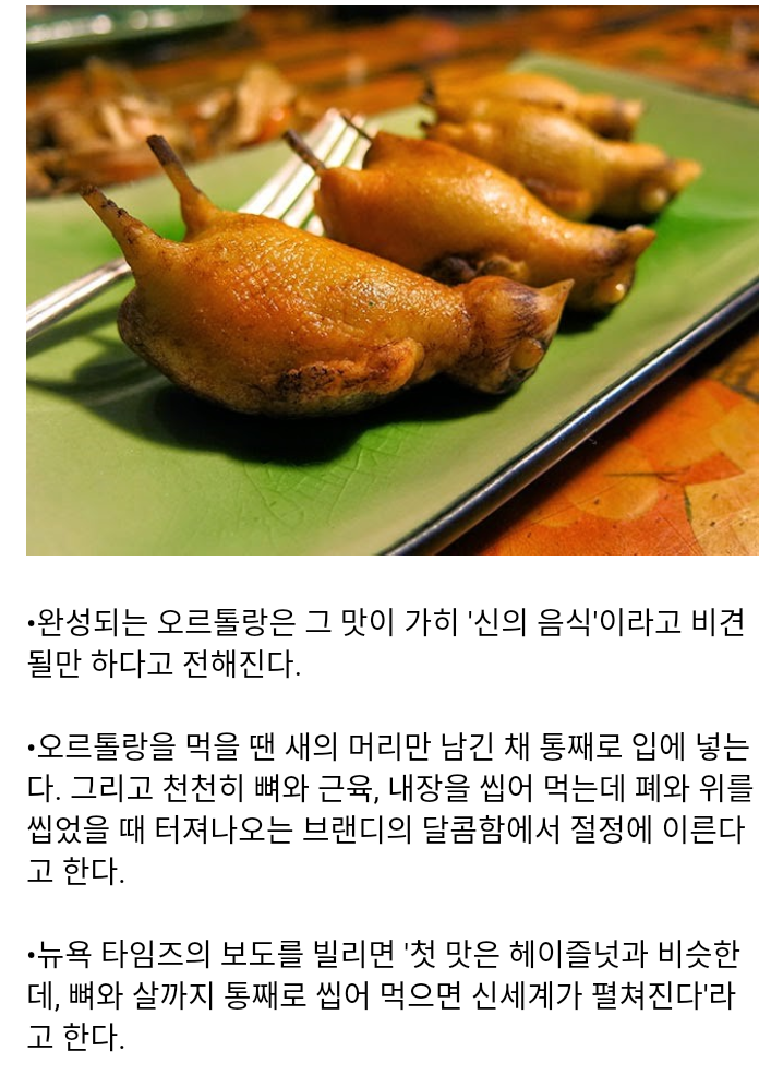 신도 모르게 먹어야 한다는 프랑스의 전통 요리 | 인스티즈