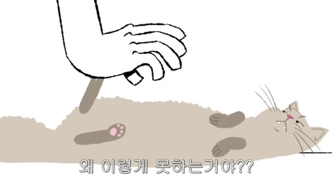 [동물] 고양이의 속마음 | 인스티즈