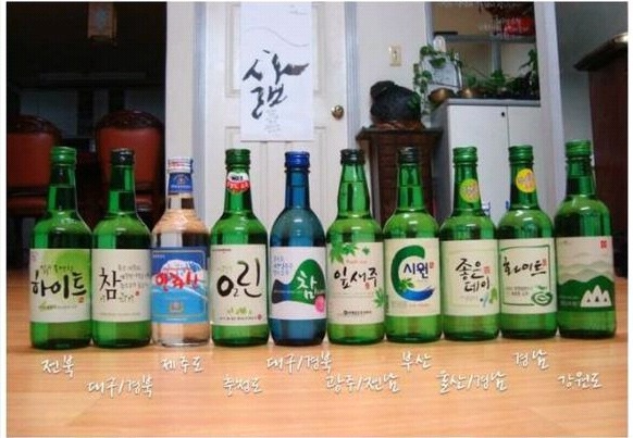 맥주 vs 소주 평생 한가지만 마실수 있다면? | 인스티즈