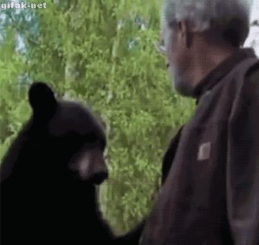 야생에서 곰 제압하는 법.gif | 인스티즈