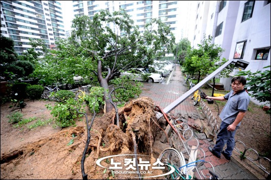 2010년 9월 태풍 곤파스.jpg | 인스티즈