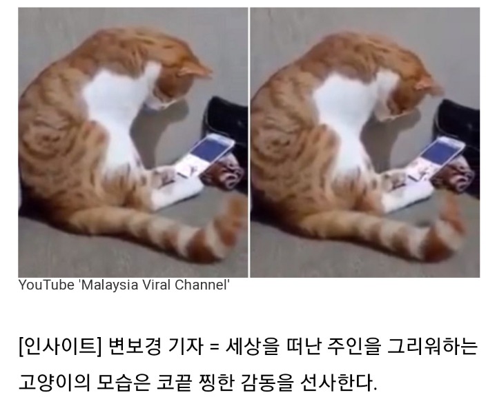 집사가 먼저갔다 | 인스티즈