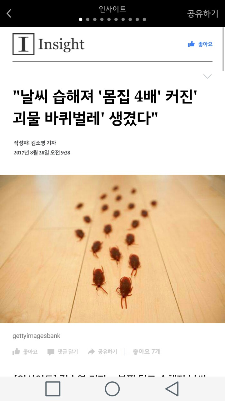 "날씨 습해져 '몸집 4배' 커진 '괴물 바퀴벌레' 생겼다" | 인스티즈