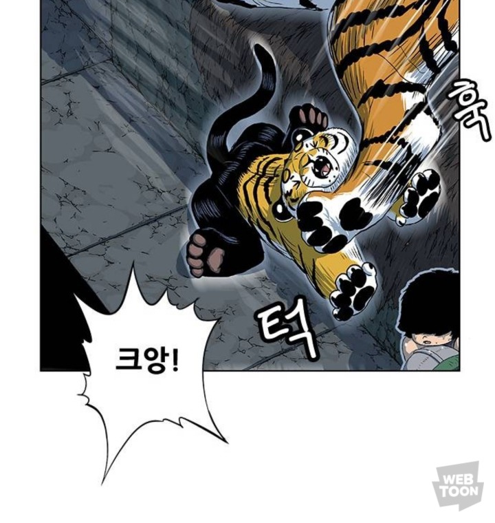 호랑이 형님 속 애기냥이 무케 모음 | 인스티즈