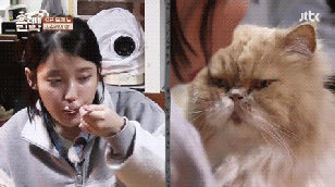 민박 알바생 지은이 .gif | 인스티즈