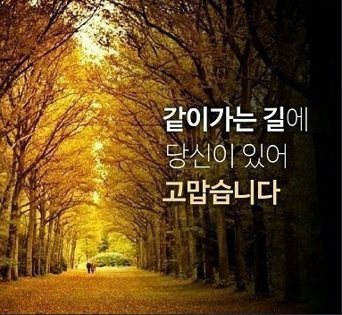 숙자매 이미지