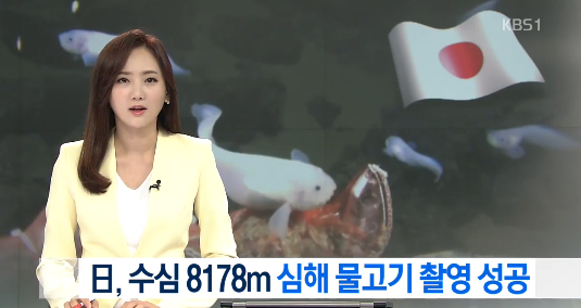 일본의 심해어 촬영 세계 신기록 | 인스티즈