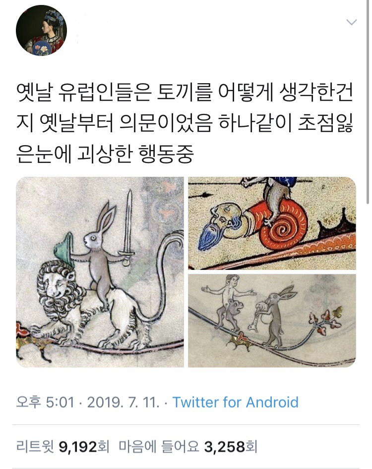 옛날 유럽인들의 토끼 그림이 이상했던 이유 | 인스티즈