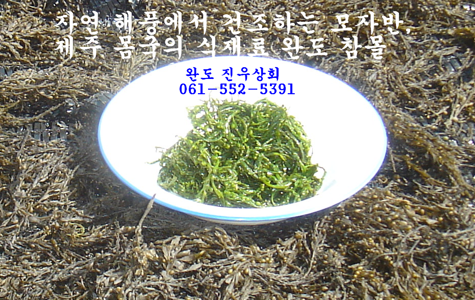 완도상회(유통) 이미지