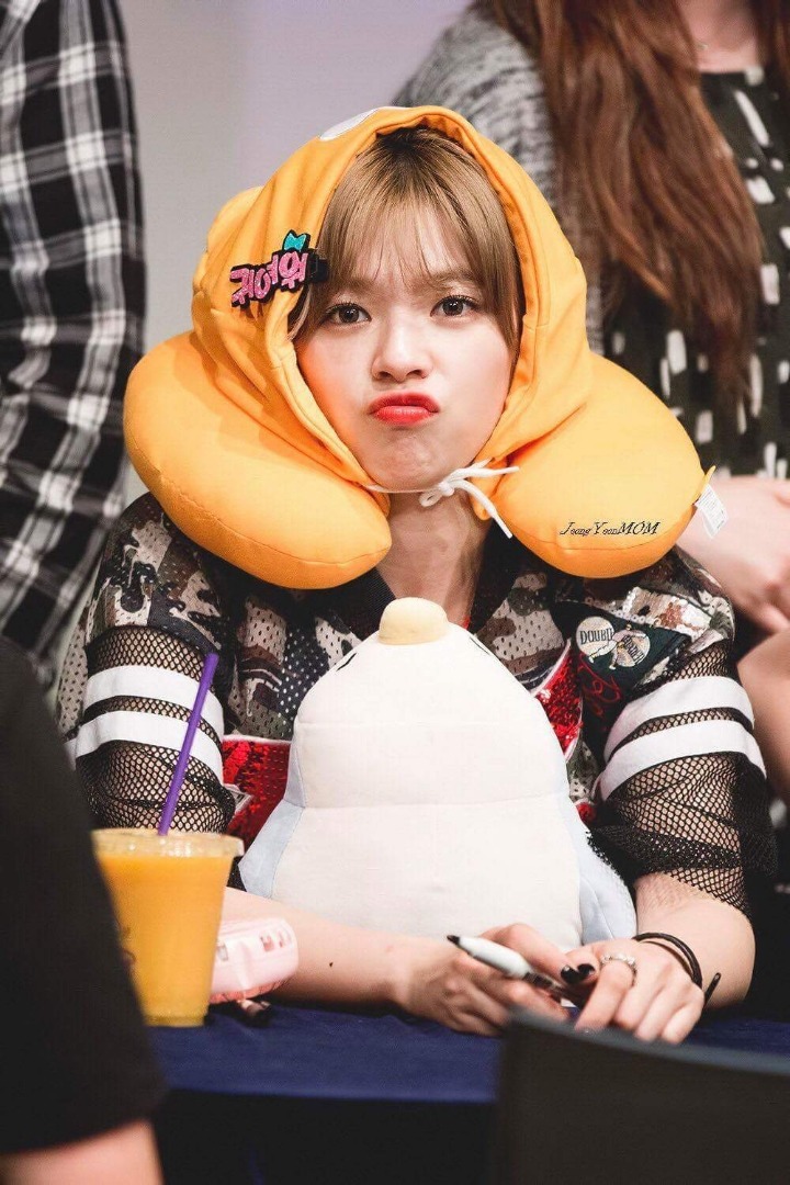 트와이스 유정연 | 인스티즈
