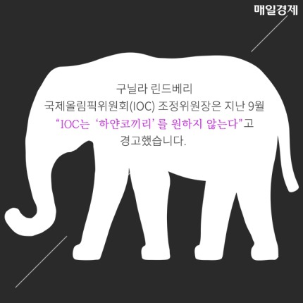 하얀코끼리 이미지