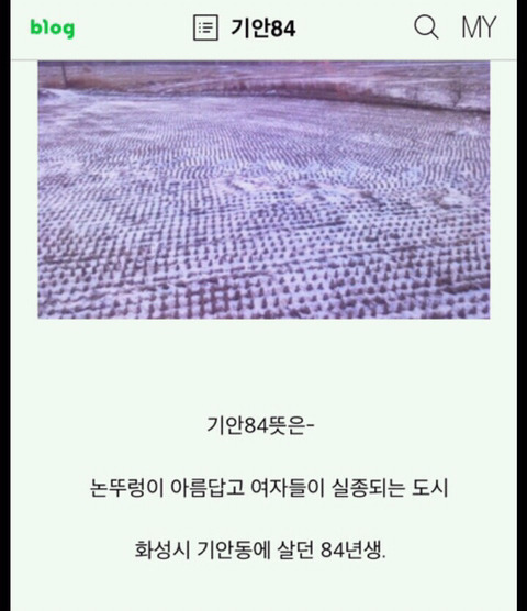 기안 84식 도시 소개해보기 | 인스티즈